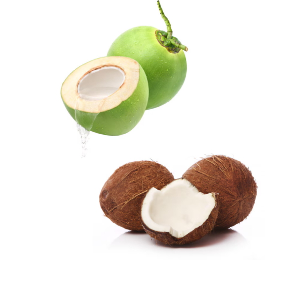 Coconut (Nariyal)