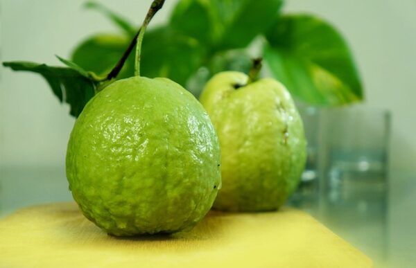 Guvava (Amrood)
